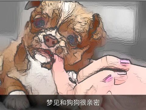 梦见和狗狗很亲密