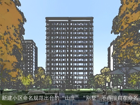 新建小区命名规范出台的“山庄”“别墅”不得擅自在命名