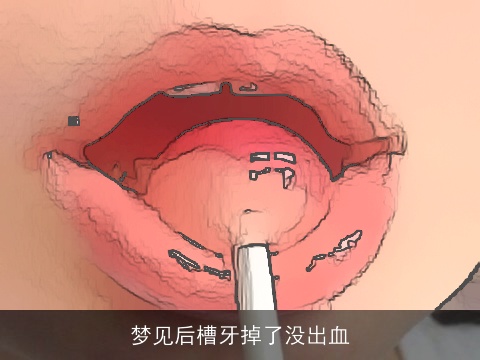 梦见后槽牙掉了没出血