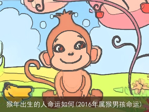 猴年出生的人命运如何(2016年属猴男孩命运)