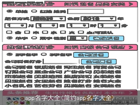 app名字大全(简约app名字大全)