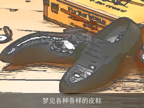 梦见各种各样的皮鞋