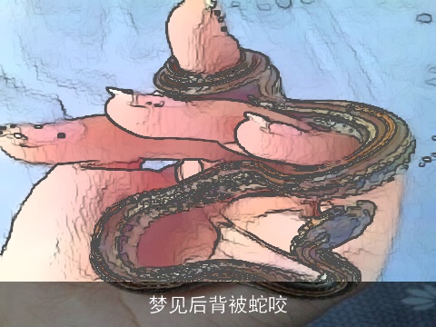 梦见后背被蛇咬