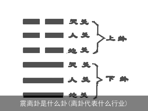 震离卦是什么卦(离卦代表什么行业)