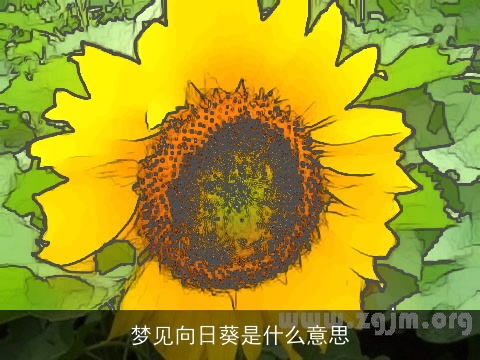 梦见向日葵是什么意思