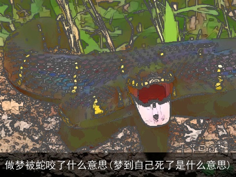 做梦被蛇咬了什么意思(梦到自己死了是什么意思)
