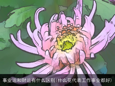 事业运和财运有什么区别(什么花代表工作事业都好)