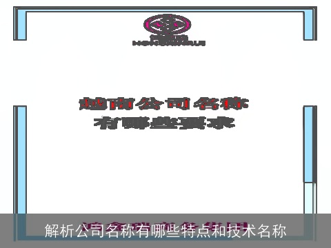 解析公司名称有哪些特点和技术名称