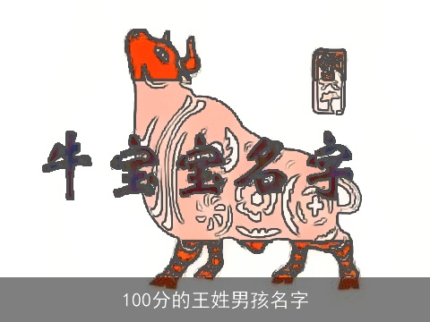 100分的王姓男孩名字