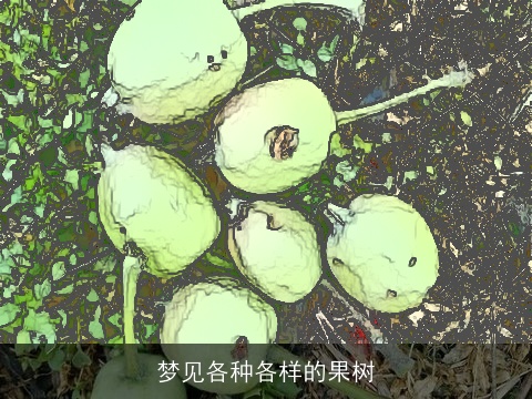 梦见各种各样的果树