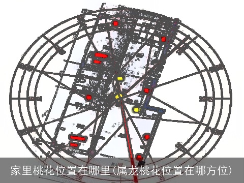 家里桃花位置在哪里(属龙桃花位置在哪方位)