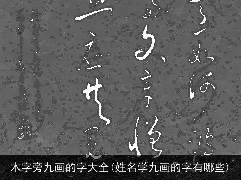 木字旁九画的字大全(姓名学九画的字有哪些)