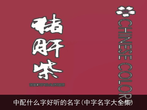 中配什么字好听的名字(中字名字大全集)
