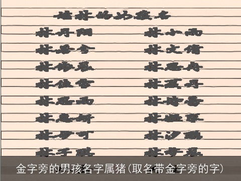 金字旁的男孩名字属猪(取名带金字旁的字)