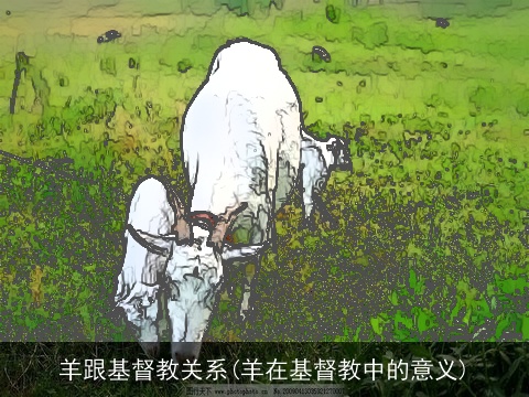 羊跟基督教关系(羊在基督教中的意义)