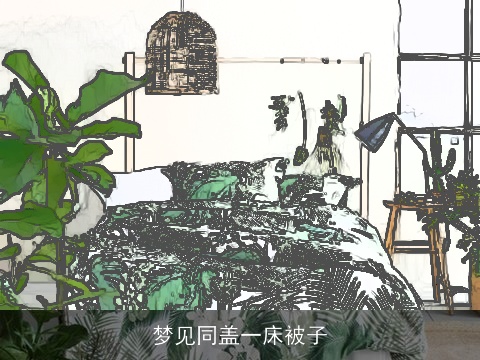 梦见同盖一床被子