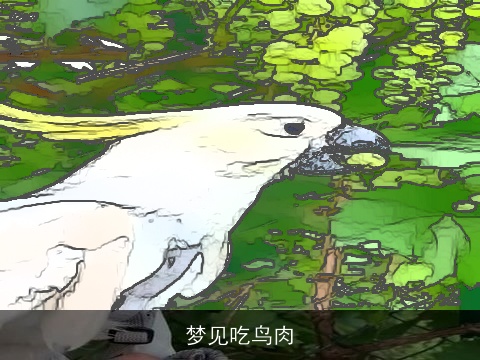 梦见吃鸟肉