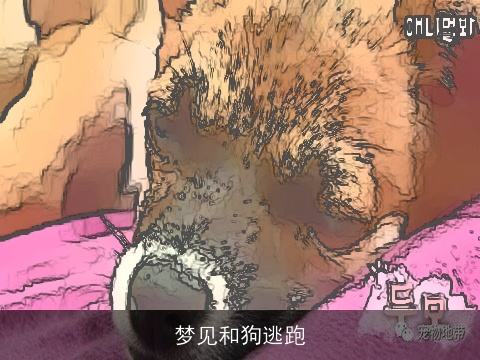 梦见和狗逃跑