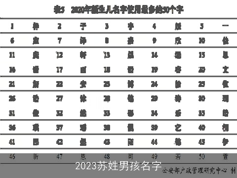 2023苏姓男孩名字