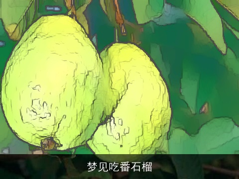 梦见吃番石榴