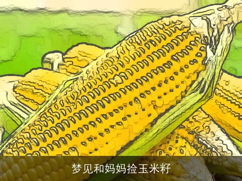梦见和妈妈捡玉米籽