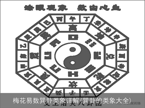 梅花易数巽卦类象详解(巽卦的类象大全)