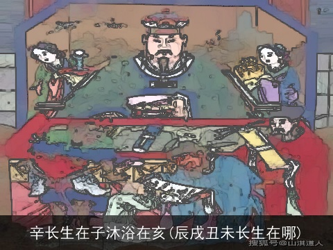 辛长生在子沐浴在亥(辰戌丑未长生在哪)