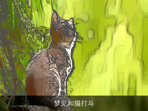 梦见和猫打斗