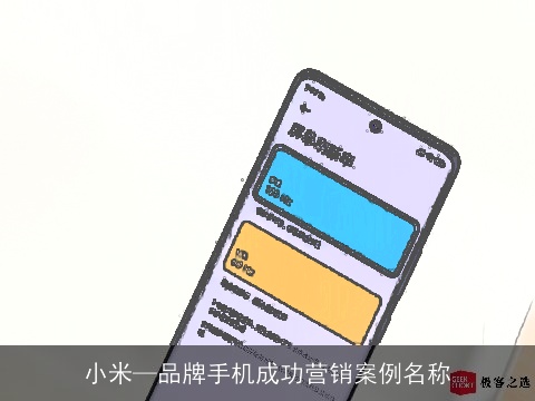 小米—品牌手机成功营销案例名称