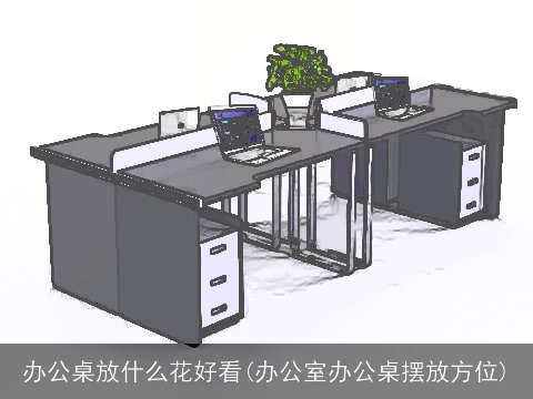 办公桌放什么花好看(办公室办公桌摆放方位)