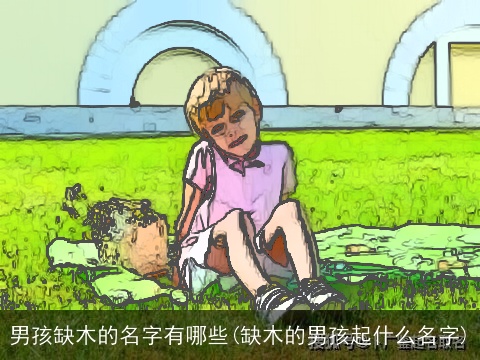 男孩缺木的名字有哪些(缺木的男孩起什么名字)
