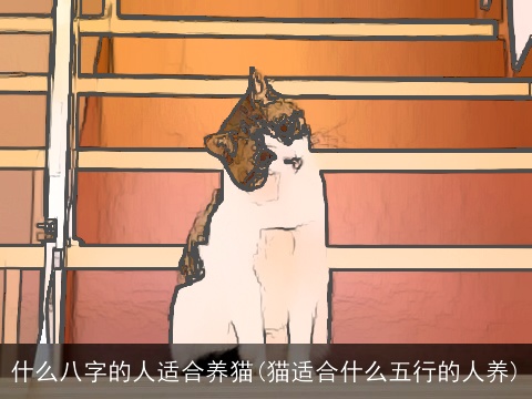 什么八字的人适合养猫(猫适合什么五行的人养)