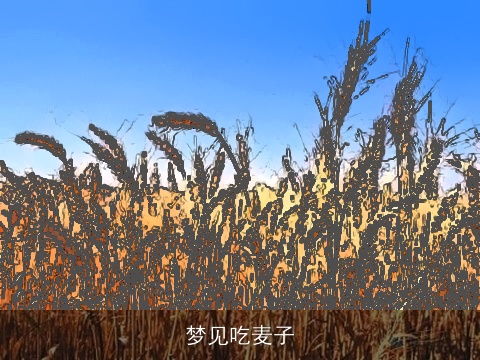 梦见吃麦子