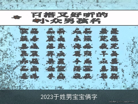2023于姓男宝宝俩字