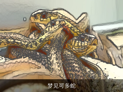 梦见可多蛇