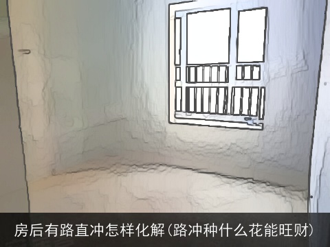 房后有路直冲怎样化解(路冲种什么花能旺财)