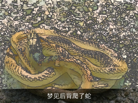 梦见后背爬了蛇