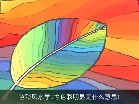 色彩风水学(性色彩明显是什么意思)