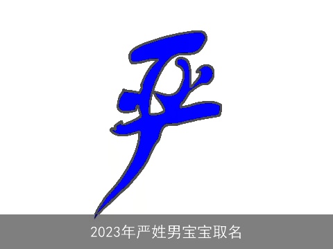 2023年严姓男宝宝取名