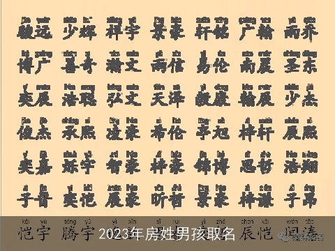 2023年房姓男孩取名