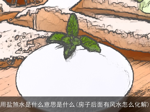 用盐煞水是什么意思是什么(房子后面有风水怎么化解)