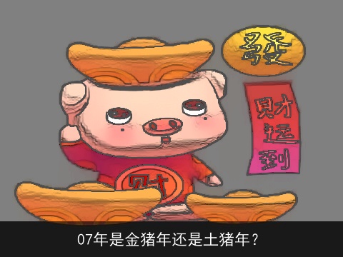 07年是金猪年还是土猪年？