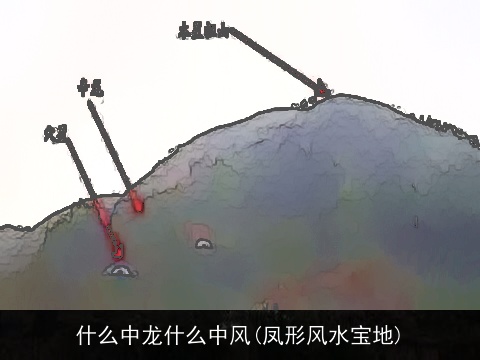 什么中龙什么中风(凤形风水宝地)