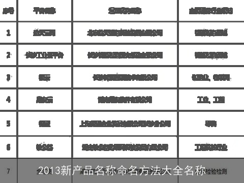 2013新产品名称命名方法大全名称