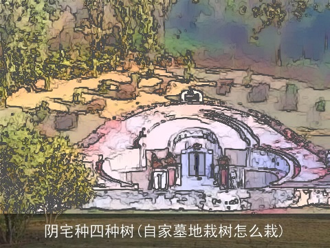 阴宅种四种树(自家墓地栽树怎么栽)