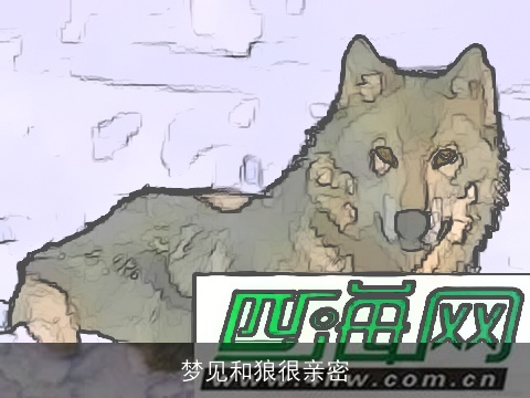 梦见和狼很亲密