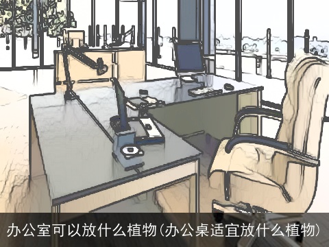 办公室可以放什么植物(办公桌适宜放什么植物)