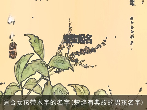 适合女孩带木字的名字(楚辞有典故的男孩名字)