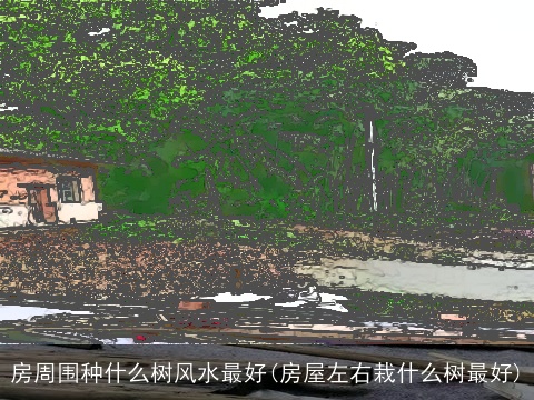 房周围种什么树风水最好(房屋左右栽什么树最好)