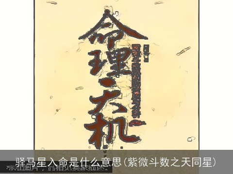 驿马星入命是什么意思(紫微斗数之天同星)
